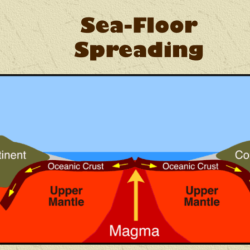 Worksheet seafloor pearson