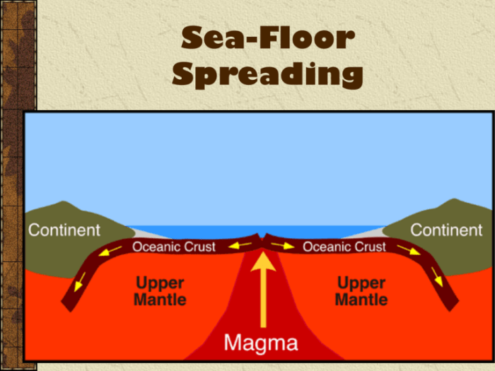 Worksheet seafloor pearson