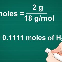 Molar mol transcribed