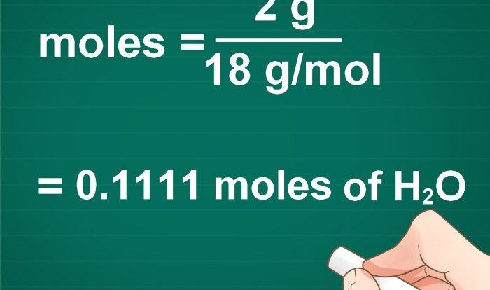 Molar mol transcribed