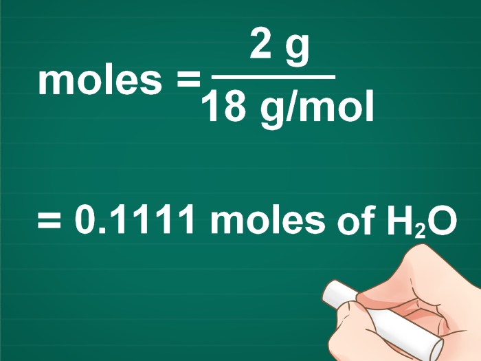 Molar mol transcribed