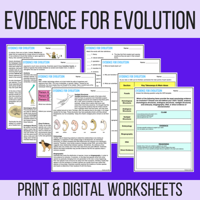 Evidence of evolution pogil answers