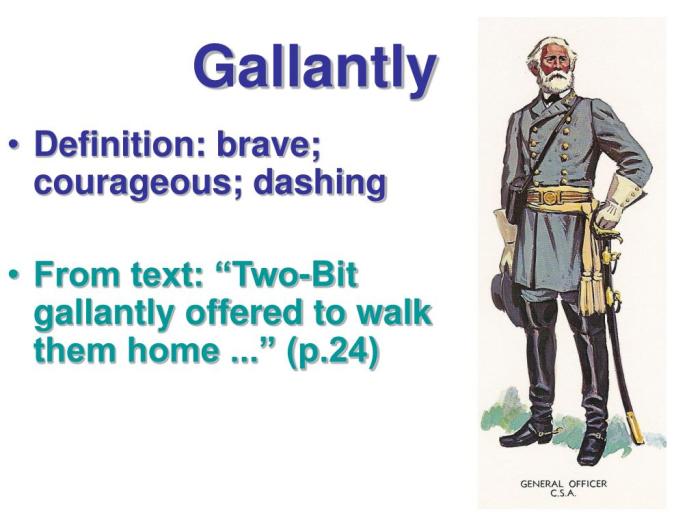 Gallantly definition in the outsiders