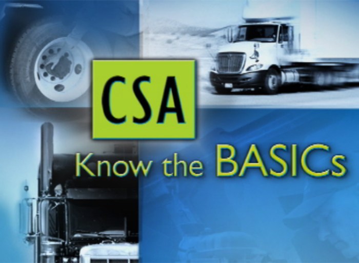 Csa know the basics quiz answers