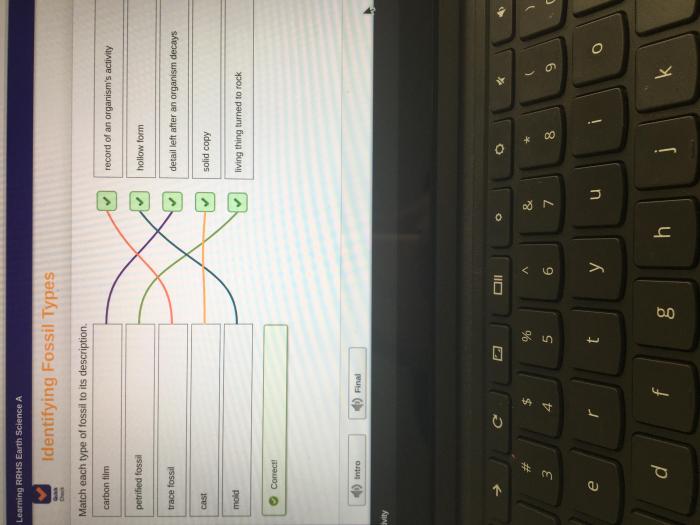 Match each pricing strategy to its corresponding description