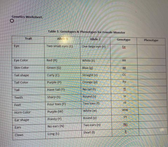 Albinism from genotype to phenotype worksheet