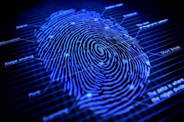 Dna forensic fingerprinting