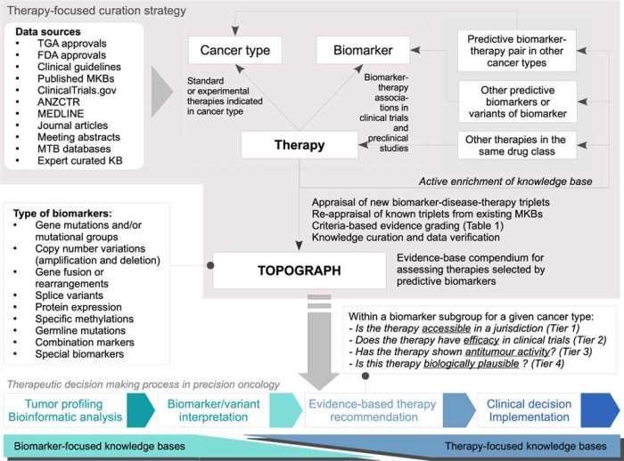 Ati nurse logic knowledge and clinical judgement advanced test